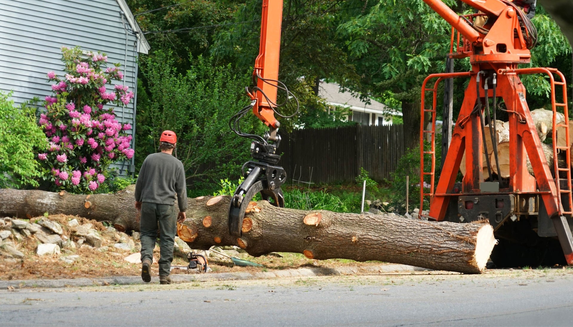 Commercial tree removal in Belleville, IL.
